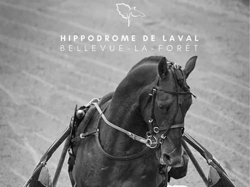 Entrée gratuite pour la première réunion de l’année 2022 à...